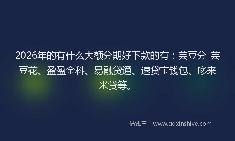 2026年的有什么大额分期好下款的有：芸豆分-芸豆花、盈盈金科、易融贷通、速贷宝钱包、哆来米贷等。