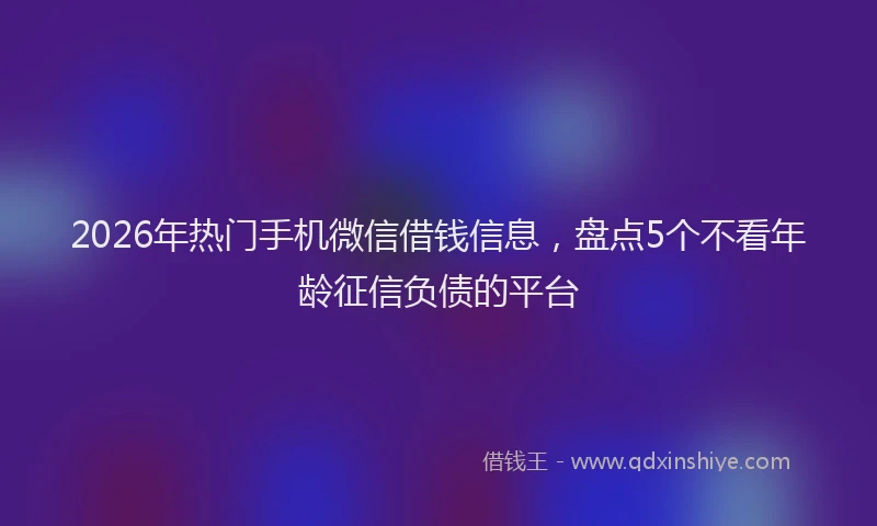 2026年热门手机微信借钱信息，盘点5个不看年龄征信负债的平台