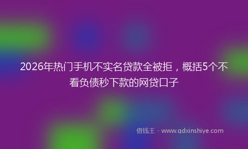 2026年热门手机不实名贷款全被拒，概括5个不看负债秒下款的网贷口子