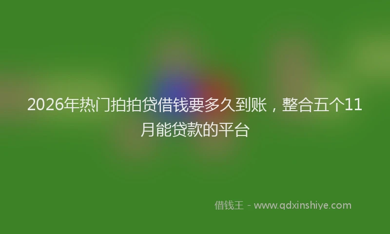 2026年热门拍拍贷借钱要多久到账，整合五个11月能贷款的平台