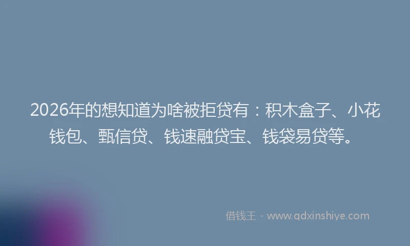 2026年的想知道为啥被拒贷有：积木盒子、小花钱包、甄信贷、钱速融贷宝、钱袋易贷等。