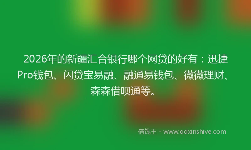 2026年的新疆汇合银行哪个网贷的好有：迅捷Pro钱包、闪贷宝易融、融通易钱包、微微理财、森森借呗通等。
