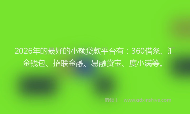 2026年的最好的小额贷款平台有：360借条、汇金钱包、招联金融、易融贷宝、度小满等。