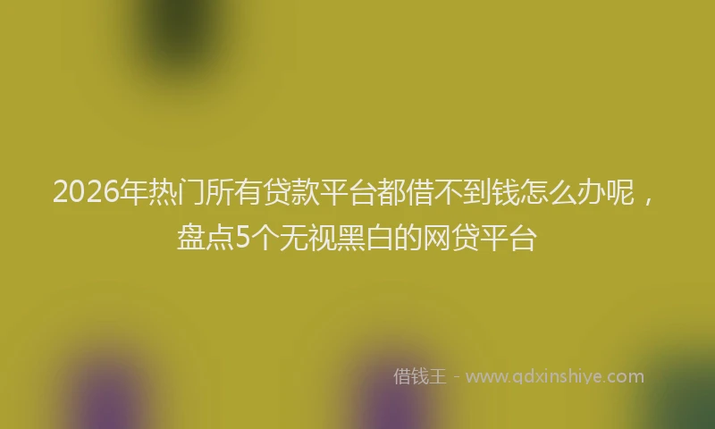 2026年热门所有贷款平台都借不到钱怎么办呢，盘点5个无视黑白的网贷平台