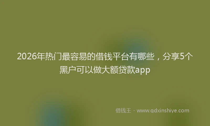 2026年热门最容易的借钱平台有哪些，分享5个黑户可以做大额贷款app