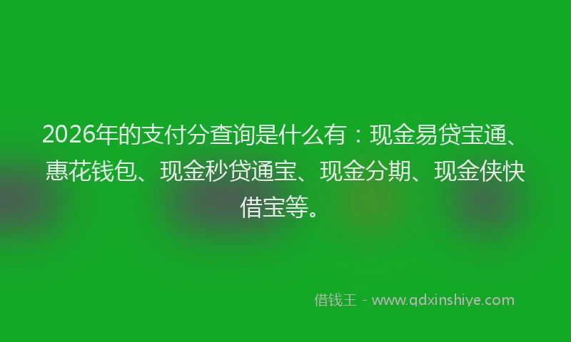 2026年的支付分查询是什么有：现金易贷宝通、惠花钱包、现金秒贷通宝、现金分期、现金侠快借宝等。