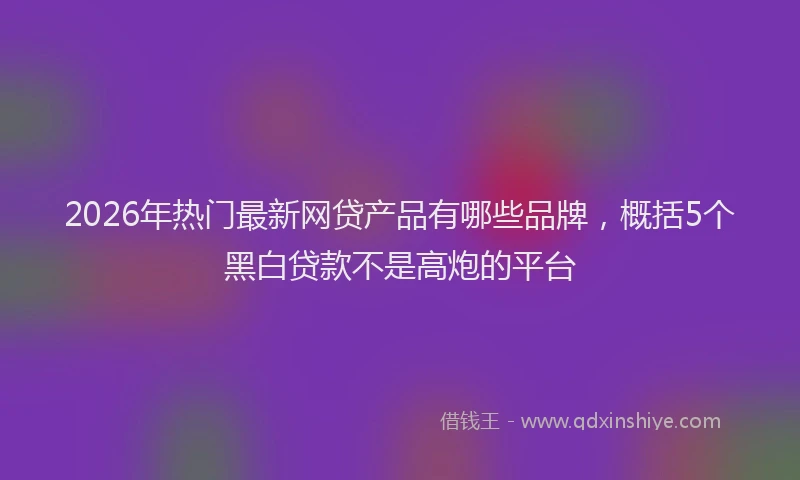 2026年热门最新网贷产品有哪些品牌，概括5个黑白贷款不是高炮的平台
