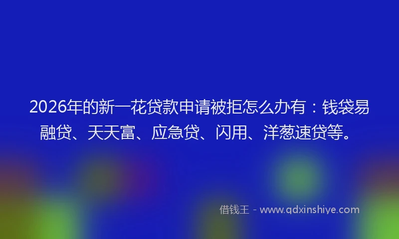 2026年的新一花贷款申请被拒怎么办有：钱袋易融贷、天天富、应急贷、闪用、洋葱速贷等。