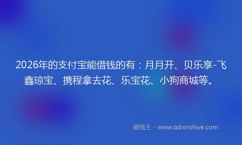 2026年的支付宝能借钱的有：月月开、贝乐享-飞鑫琼宝、携程拿去花、乐宝花、小狗商城等。