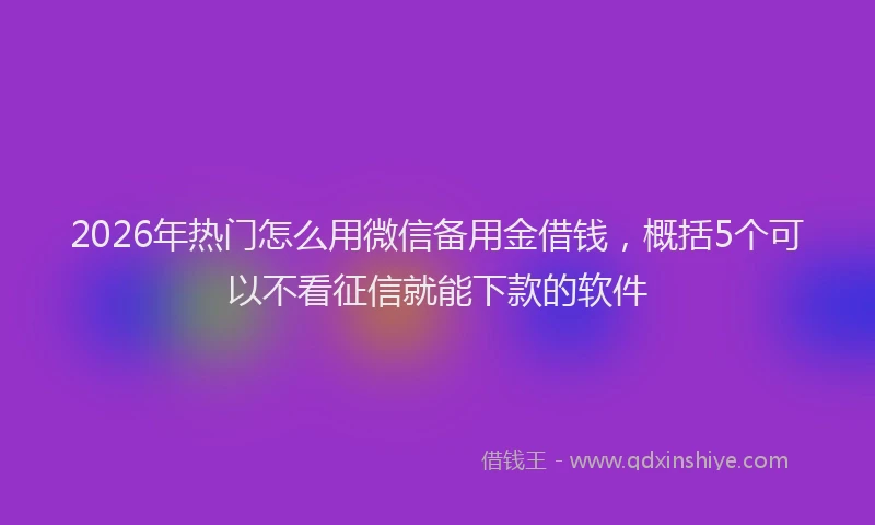 2026年热门怎么用微信备用金借钱，概括5个可以不看征信就能下款的软件