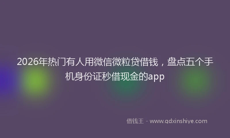 2026年热门有人用微信微粒贷借钱，盘点五个手机身份证秒借现金的app