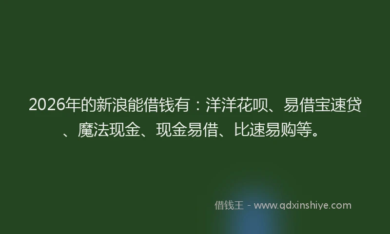 2026年的新浪能借钱有：洋洋花呗、易借宝速贷、魔法现金、现金易借、比速易购等。