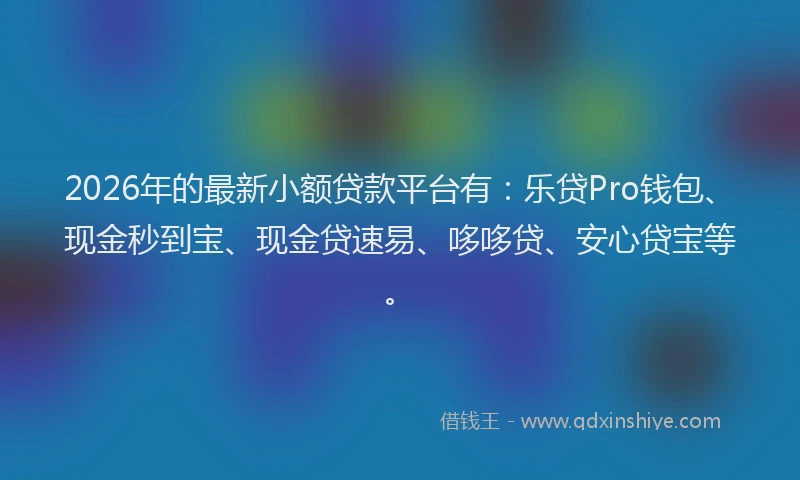 2026年的最新小额贷款平台有：乐贷Pro钱包、现金秒到宝、现金贷速易、哆哆贷、安心贷宝等。