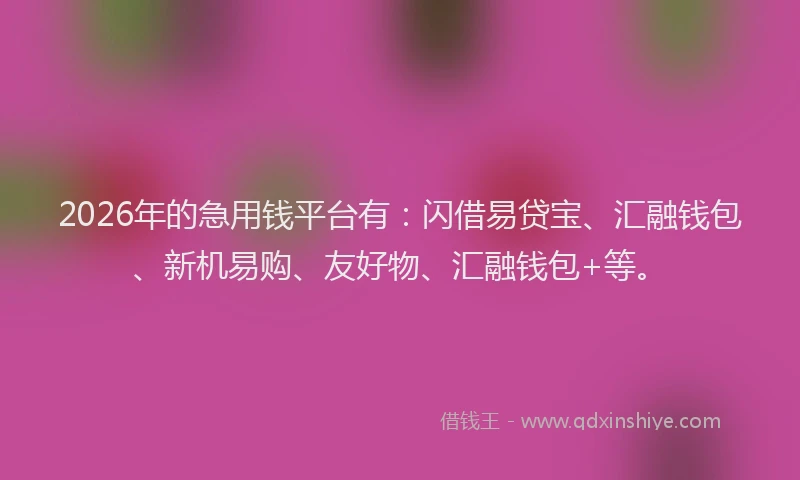 2026年的急用钱平台有：闪借易贷宝、汇融钱包、新机易购、友好物、汇融钱包+等。
