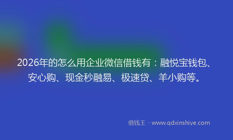 2026年的怎么用企业微信借钱有：融悦宝钱包、安心购、现金秒融易、极速贷、羊小购等。