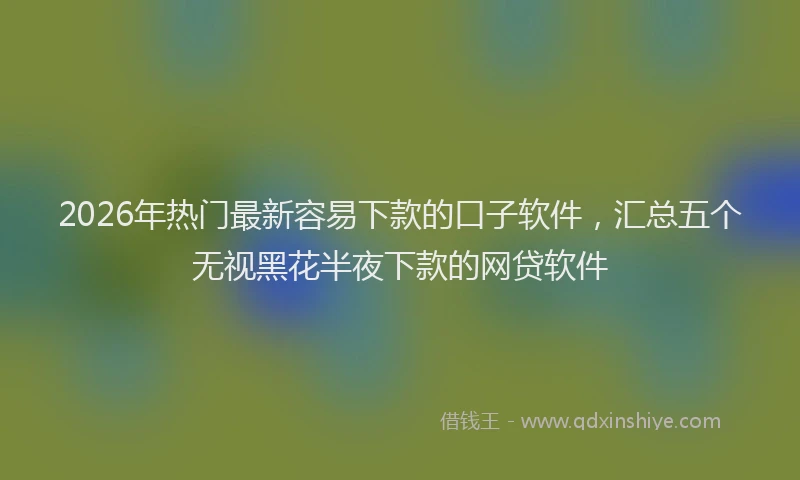 2026年热门最新容易下款的口子软件，汇总五个无视黑花半夜下款的网贷软件