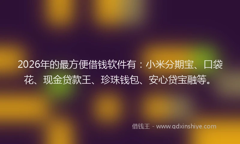 2026年的最方便借钱软件有：小米分期宝、口袋花、现金贷款王、珍珠钱包、安心贷宝融等。