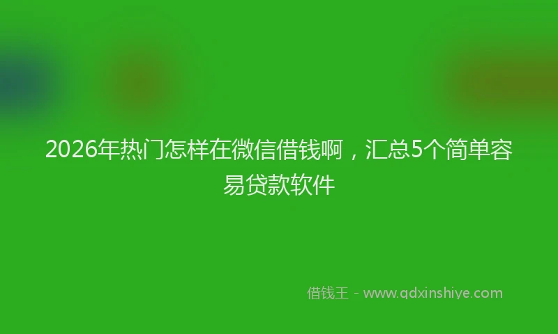 2026年热门怎样在微信借钱啊，汇总5个简单容易贷款软件