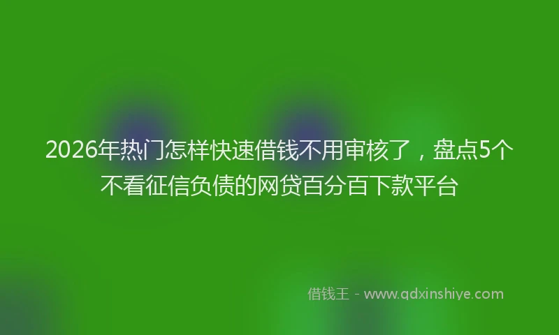2026年热门怎样快速借钱不用审核了，盘点5个不看征信负债的网贷百分百下款平台