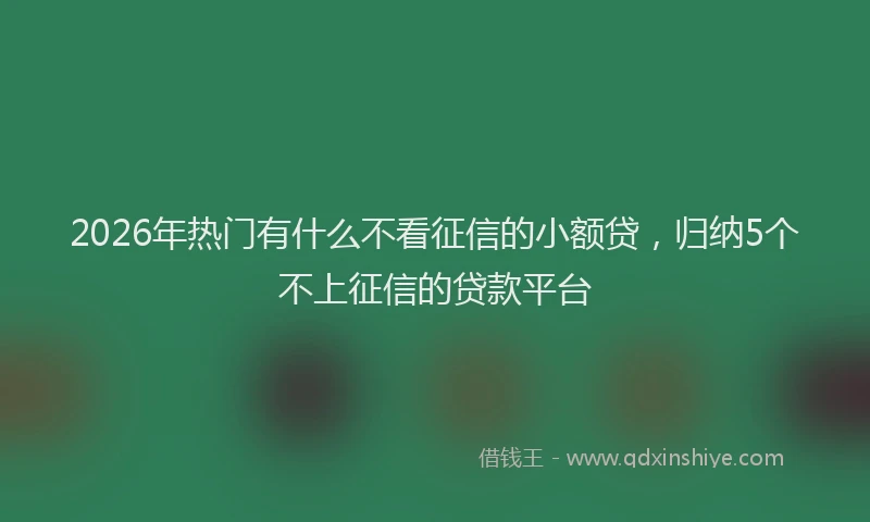 2026年热门有什么不看征信的小额贷，归纳5个不上征信的贷款平台