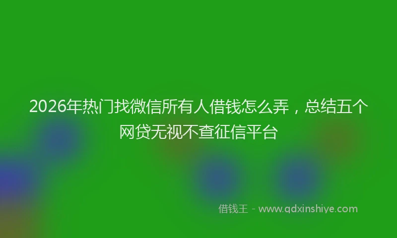 2026年热门找微信所有人借钱怎么弄，总结五个网贷无视不查征信平台