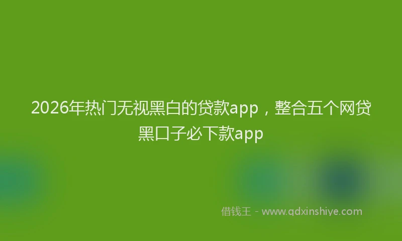 2026年热门无视黑白的贷款app，整合五个网贷黑口子必下款app
