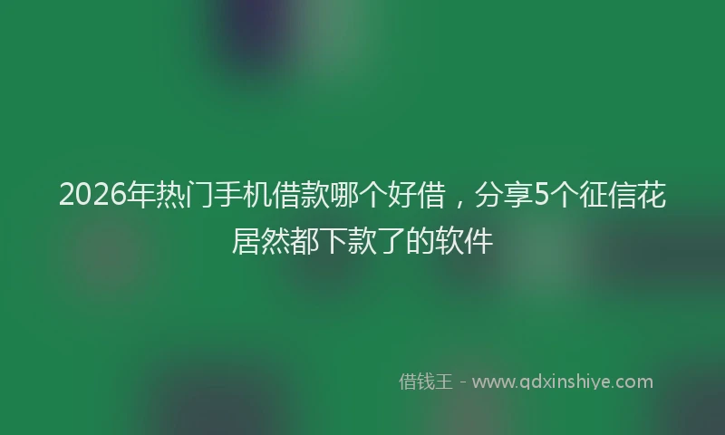 2026年热门手机借款哪个好借，分享5个征信花居然都下款了的软件