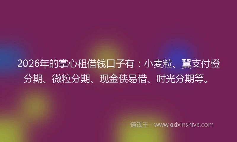 2026年的掌心租借钱口子有：小麦粒、翼支付橙分期、微粒分期、现金侠易借、时光分期等。