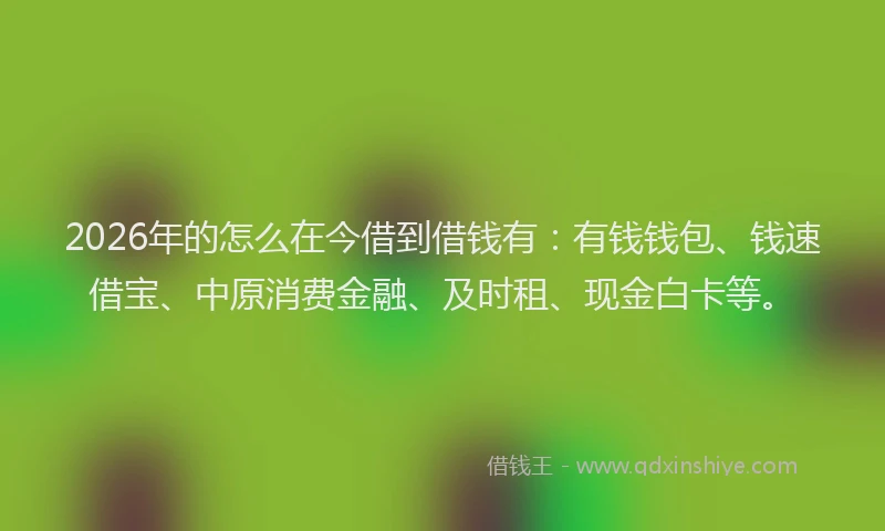 2026年的怎么在今借到借钱有：有钱钱包、钱速借宝、中原消费金融、及时租、现金白卡等。