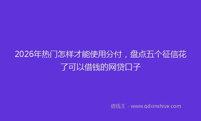 2026年热门怎样才能使用分付,盘点五个征信花了可以借钱的网贷口子