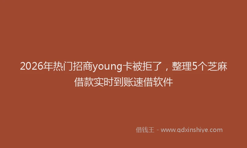 2026年热门招商young卡被拒了,整理5个芝麻借款实时到账速借软件