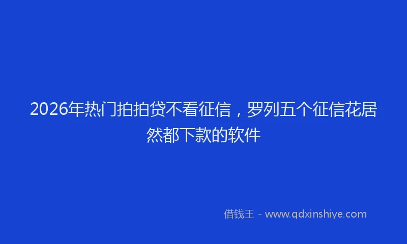 2026年热门拍拍贷不看征信，罗列五个征信花居然都下款的软件