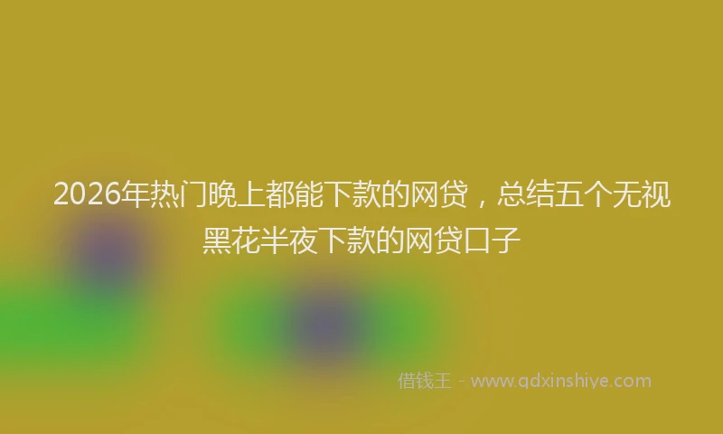 2026年热门晚上都能下款的网贷，总结五个无视黑花半夜下款的网贷口子