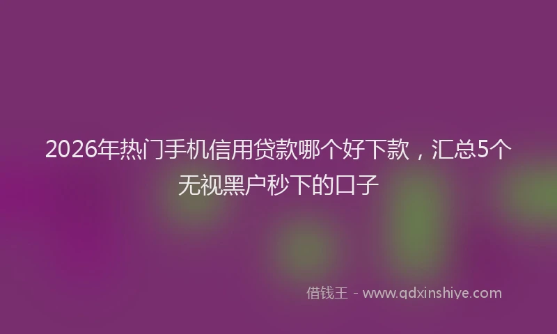 2026年热门手机信用贷款哪个好下款，汇总5个无视黑户秒下的口子