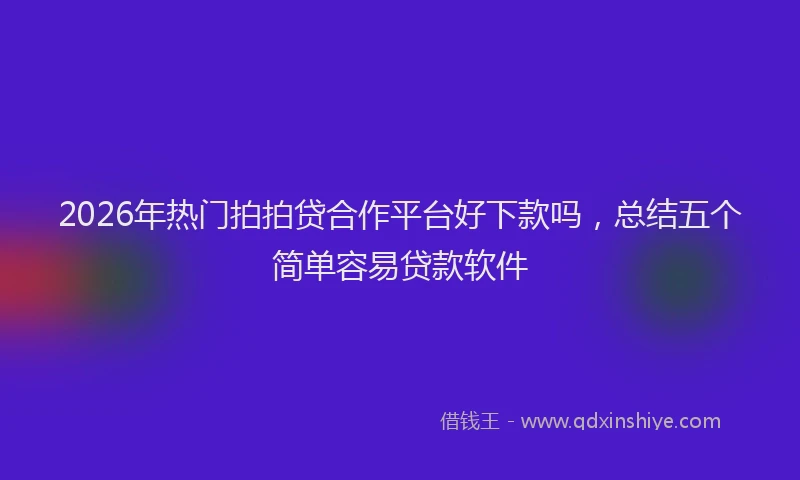 2026年热门拍拍贷合作平台好下款吗，总结五个简单容易贷款软件