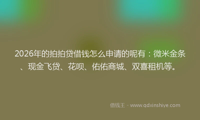 2026年的拍拍贷借钱怎么申请的呢有:微米金条、现金飞贷、花呗、佑佑商城、双喜租机等。