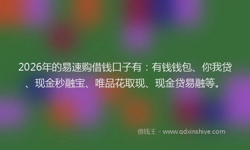 2026年的易速购借钱口子有:有钱钱包、你我贷、现金秒融宝、唯品花取现、现金贷易融等。