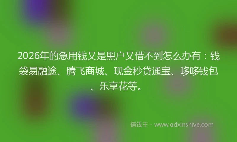 2026年的急用钱又是黑户又借不到怎么办有：钱袋易融途、腾飞商城、现金秒贷通宝、哆哆钱包、乐享花等。