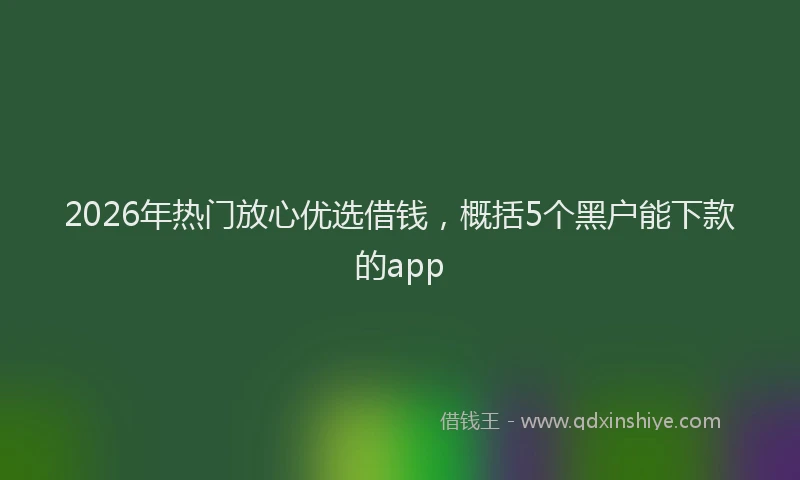 2026年热门放心优选借钱，概括5个黑户能下款的app