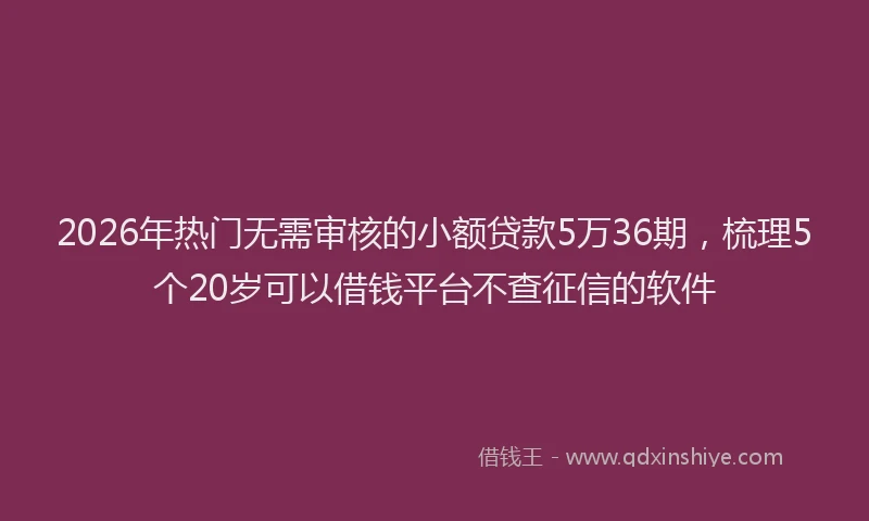 2026年热门无需审核的小额贷款5万36期，梳理5个20岁可以借钱平台不查征信的软件