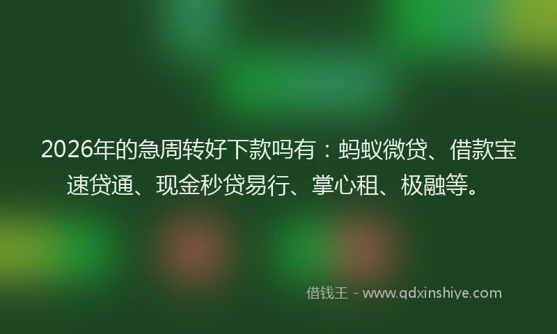 2026年的急周转好下款吗有：蚂蚁微贷、借款宝速贷通、现金秒贷易行、掌心租、极融等。