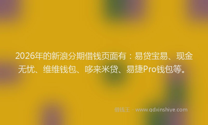 2026年的新浪分期借钱页面有：易贷宝易、现金无忧、维维钱包、哆来米贷、易捷Pro钱包等。