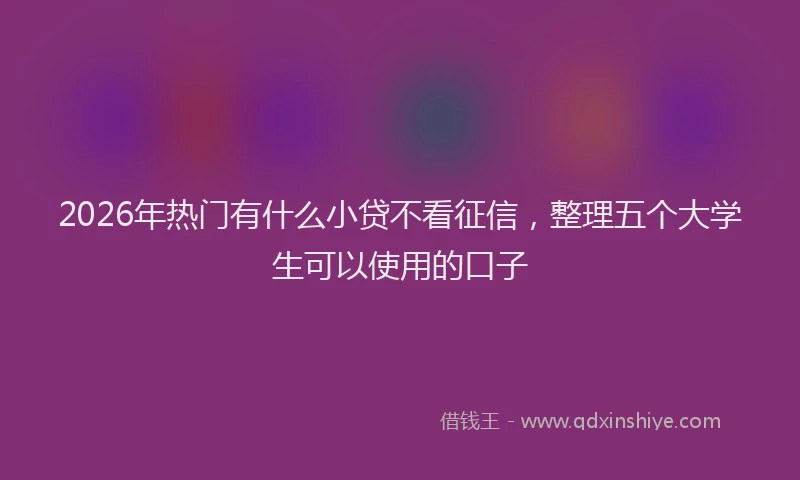 2026年热门有什么小贷不看征信，整理五个大学生可以使用的口子
