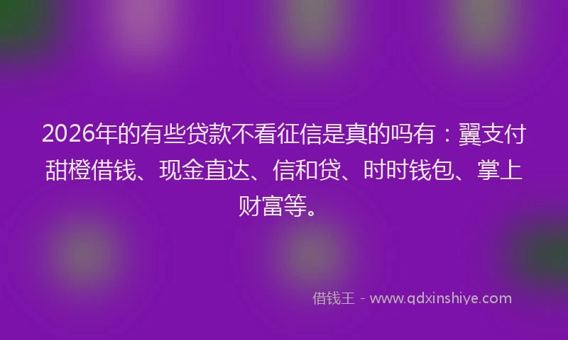 2026年的有些贷款不看征信是真的吗有：翼支付甜橙借钱、现金直达、信和贷、时时钱包、掌上财富等。