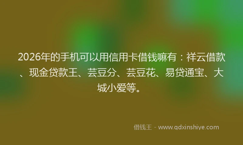 2026年的手机可以用信用卡借钱嘛有:祥云借款、现金贷款王、芸豆分、芸豆花、易贷通宝、大城小爱等。