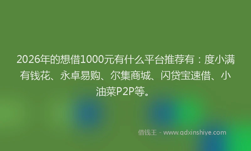 2026年的想借1000元有什么平台推荐有:度小满有钱花、永卓易购、尔集商城、闪贷宝速借、小油菜P2P等。