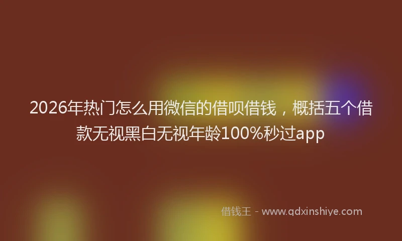 2026年热门怎么用微信的借呗借钱，概括五个借款无视黑白无视年龄100%秒过app