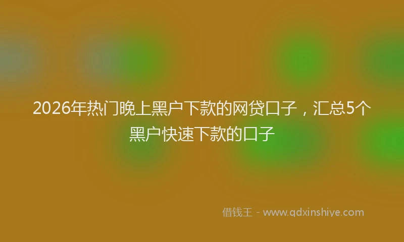 2026年热门晚上黑户下款的网贷口子，汇总5个黑户快速下款的口子