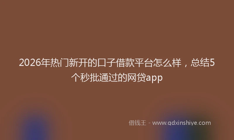2026年热门新开的口子借款平台怎么样，总结5个秒批通过的网贷app