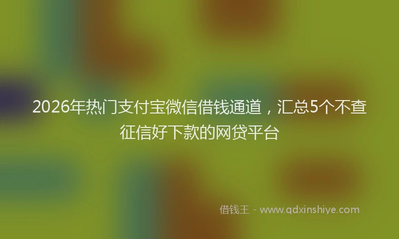 2026年热门支付宝微信借钱通道，汇总5个不查征信好下款的网贷平台